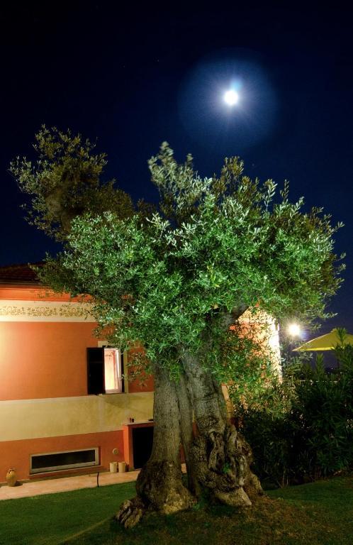 Appartement Olivium La Spezia