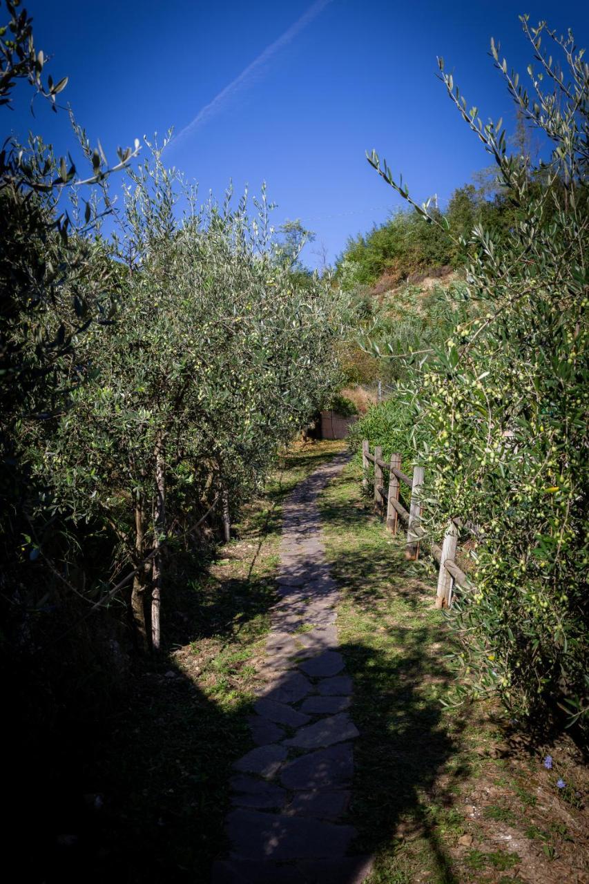 Olivium * La Spezia